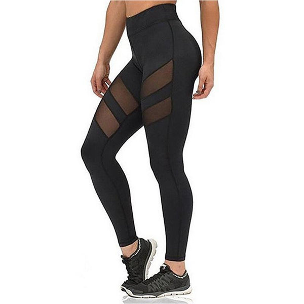 Mesh Workout Leggings